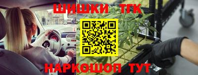 эйфоретик Новокубанск