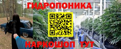 мдпв Новодвинск