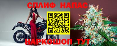 эйфоретик Новокубанск