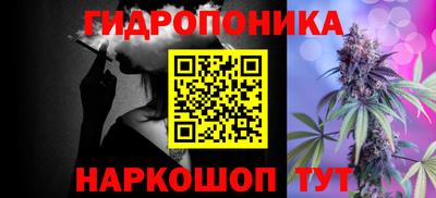 твердый Новозыбков