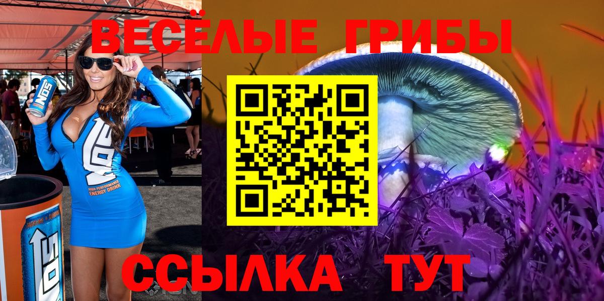 Псилоцибиновые грибы мицелий Саров