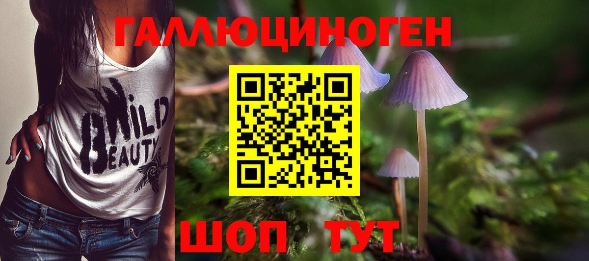 Псилоцибиновые грибы ЛСД  Вход с VPN  Саров 